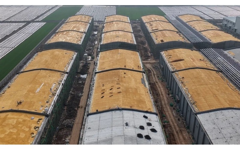 開局爭先！湖北農(nóng)發(fā)集團一季度喜迎“開門紅”